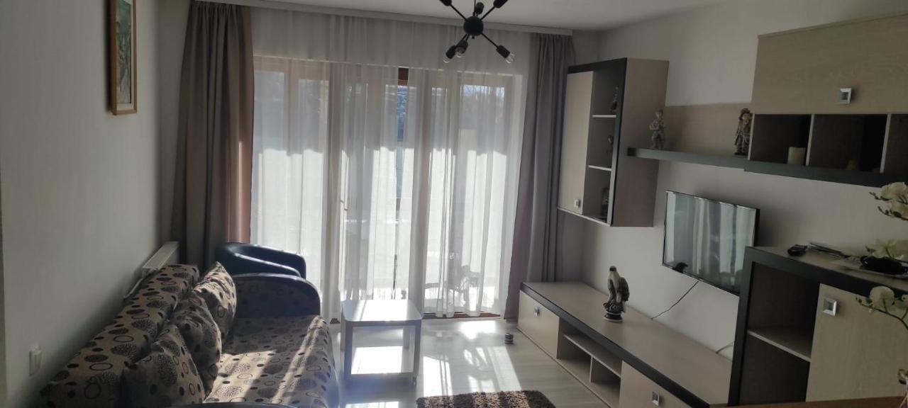 Apartment Trei Stejari