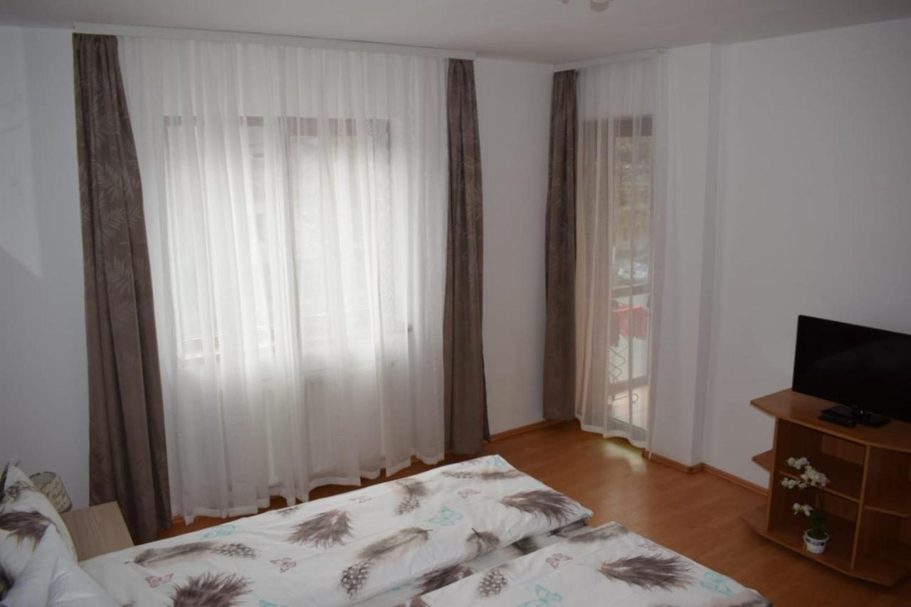 Trei Stejari Apartment *