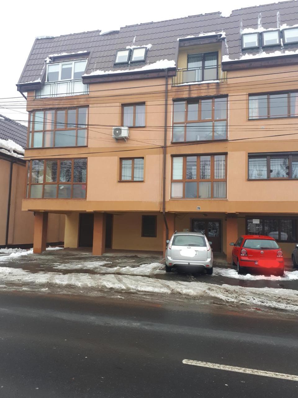 Apartment Trei Stejari